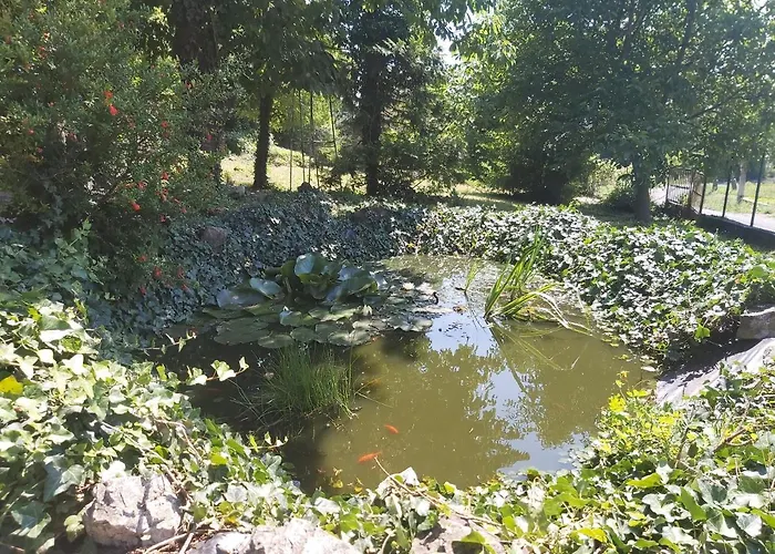 Vakantiehuis Erdo Szelen Haziko